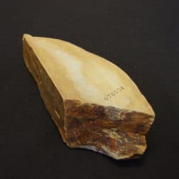 Alternative view of kk205菖蒲谷系