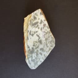 kk204中山 超稀少なカラス