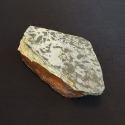 Alternative view of kk204中山 超稀少なカラス